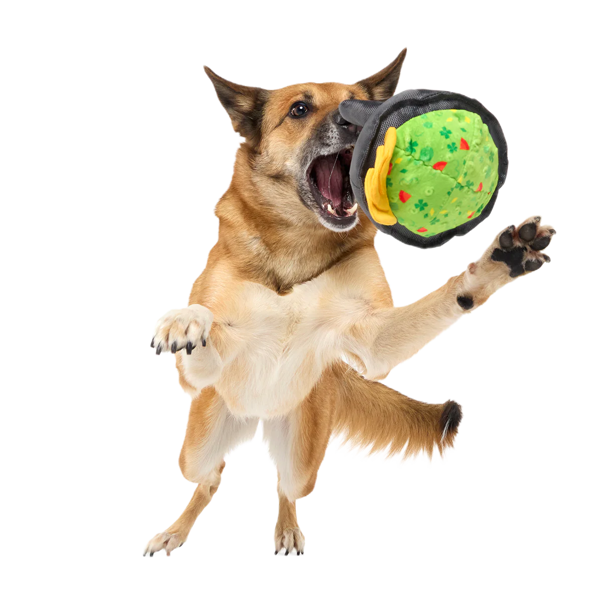 Stop, Guac, & Mole Plush Tug Dog Toy - Image 5
