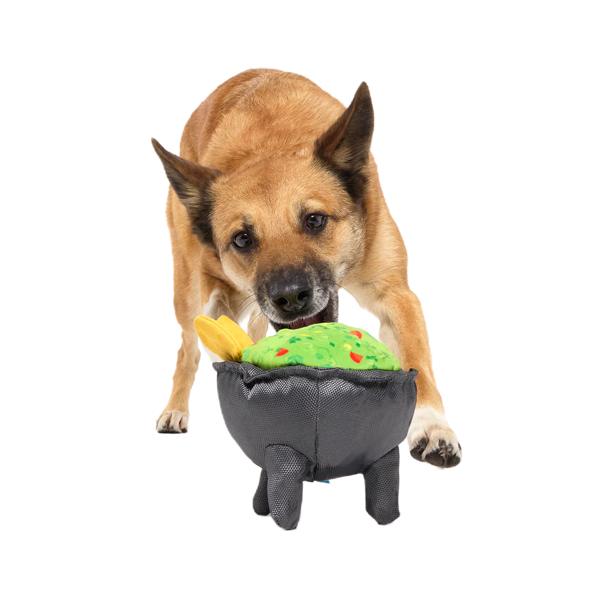 Stop, Guac, & Mole Plush Tug Dog Toy - Image 6