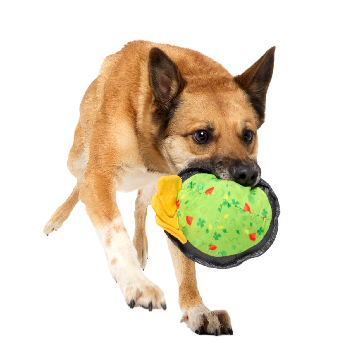 Stop, Guac, & Mole Plush Tug Dog Toy - Image 7