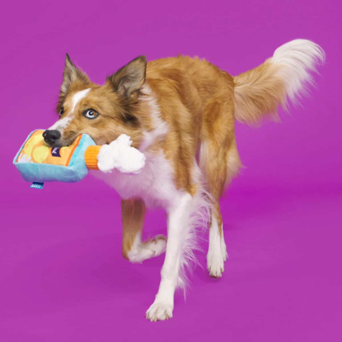 Sunsqueak - Image 3