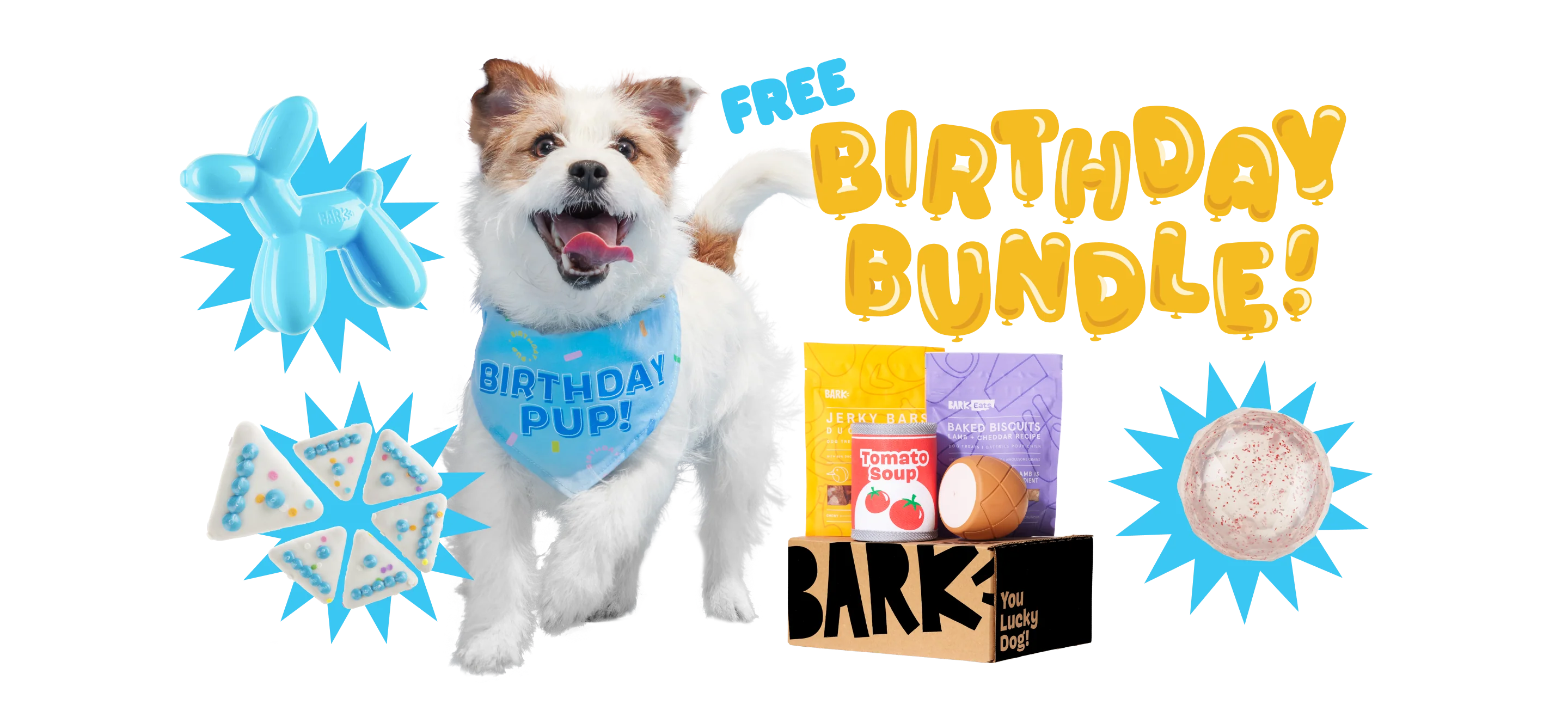 Super Chewer Birthday Bundle