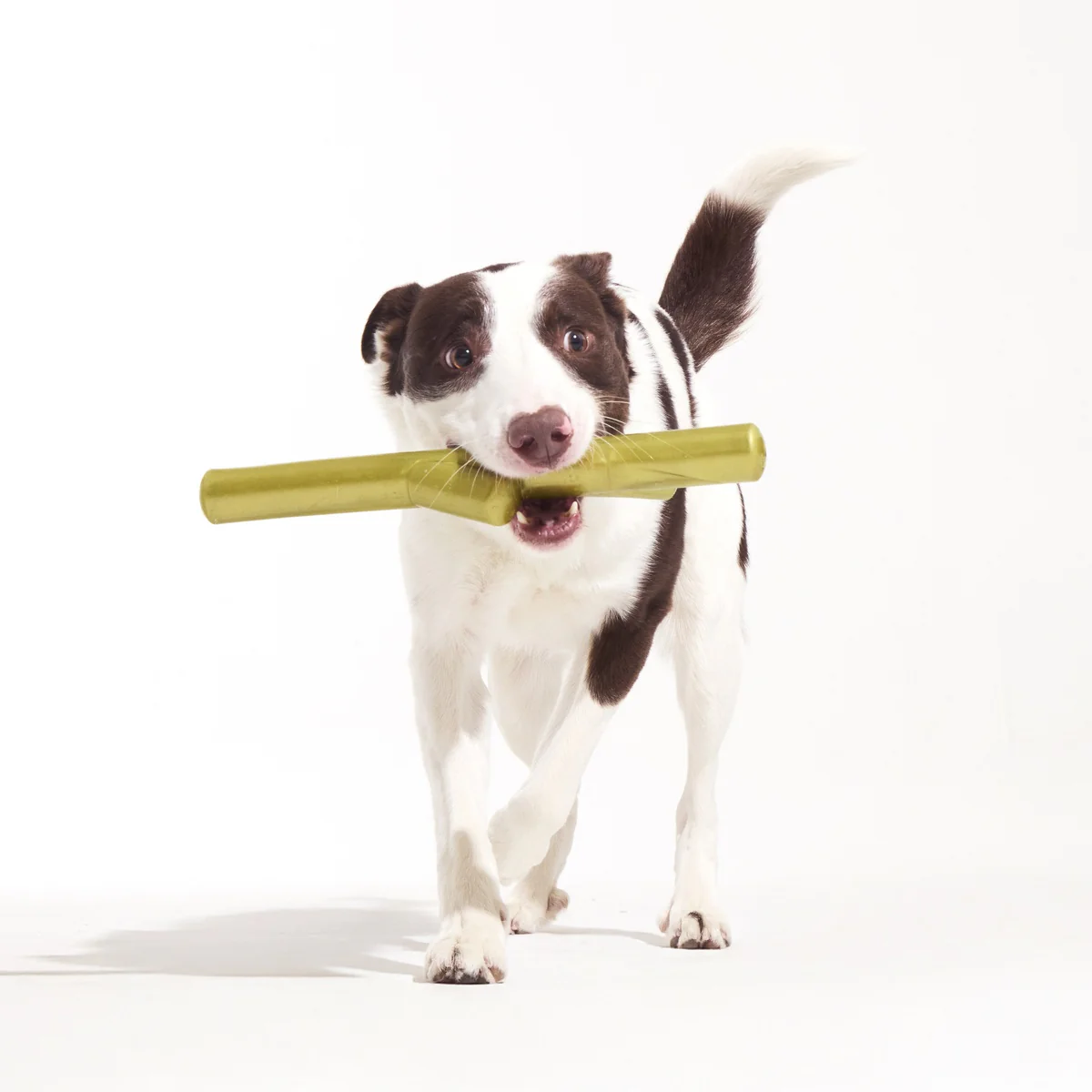 Super Stick Supreme Durable Super Chewer Fetch + Extra-Large Dog Toy - Image 6