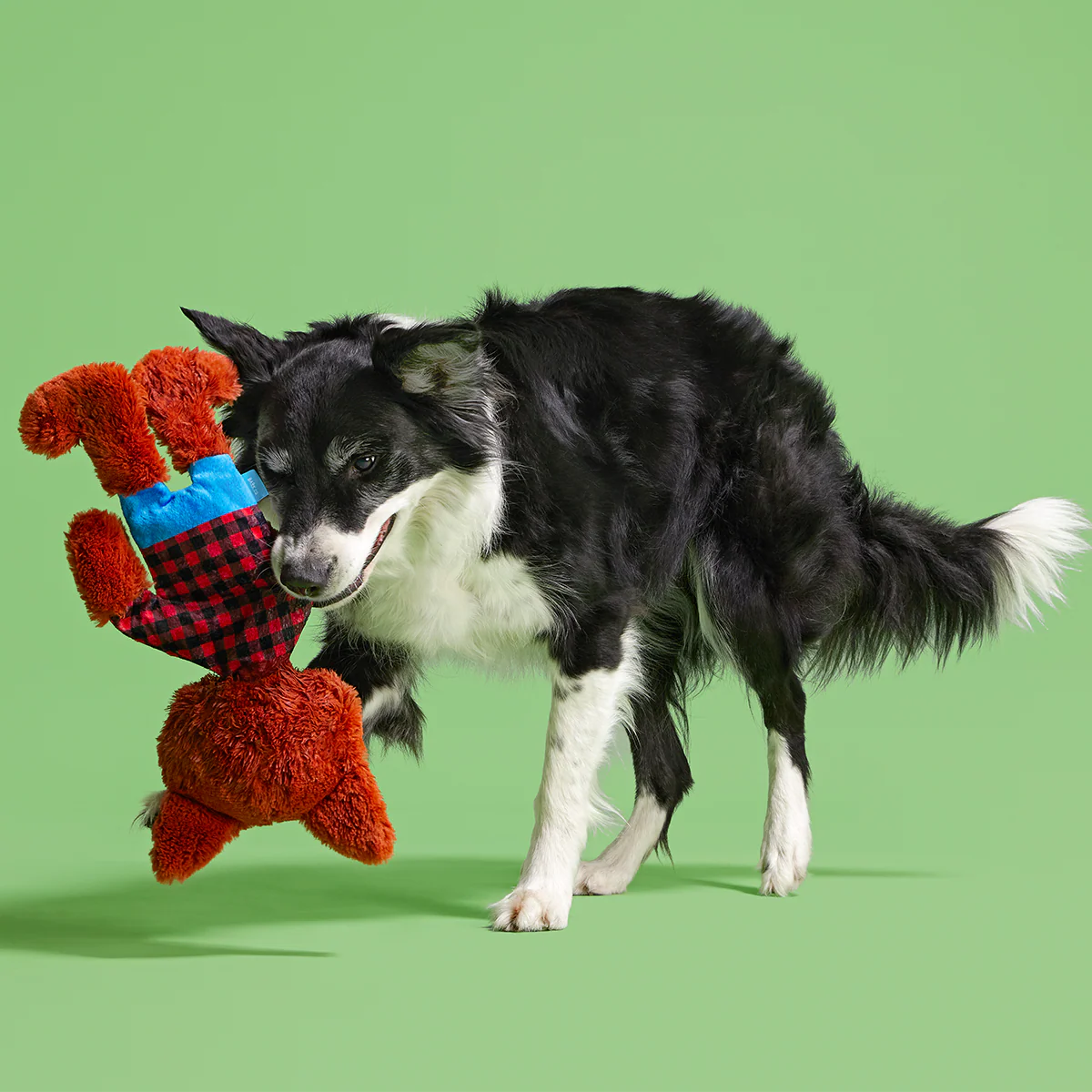 Teen Woof Plush Extra-Large Tug Dog Toy - Image 3