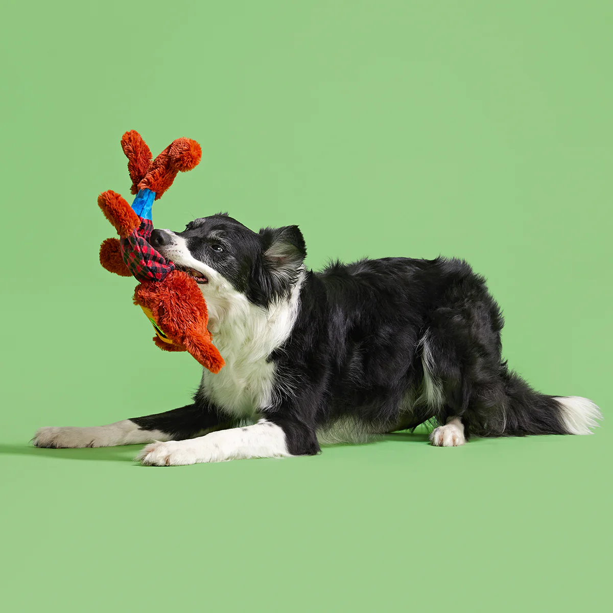 Teen Woof Plush Extra-Large Tug Dog Toy - Image 4