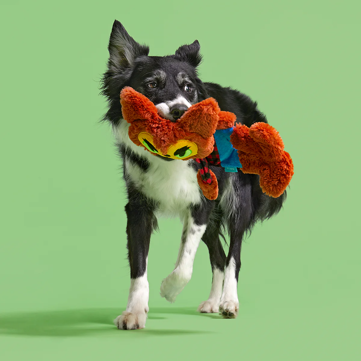 Teen Woof Plush Extra-Large Tug Dog Toy - Image 5