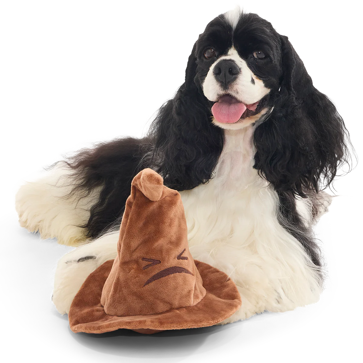 The Sorting Hat™ Plush 2-in-1 + Fetch Dog Toy - Image 9