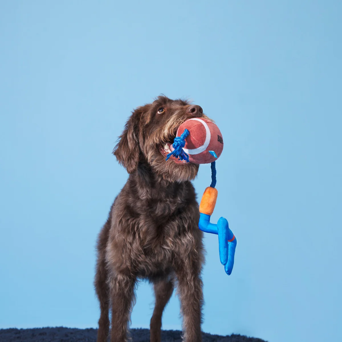 The Whole Canine Yards Plush Tug Dog Toy - Image 3