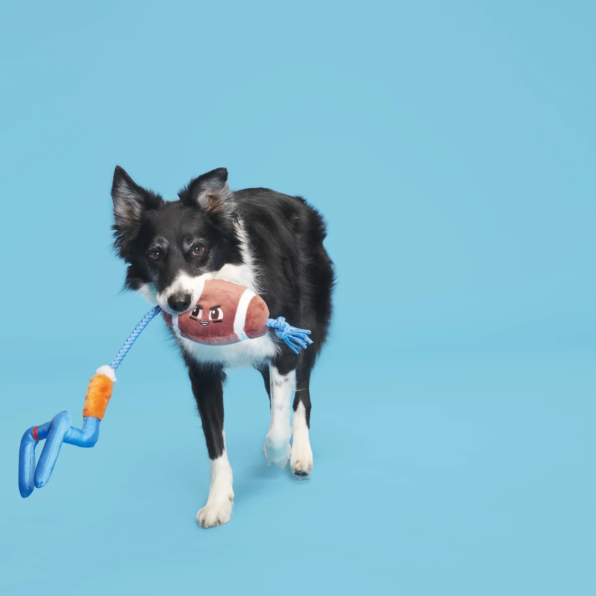 The Whole Canine Yards Plush Tug Dog Toy - Image 5