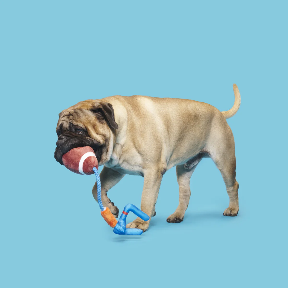 The Whole Canine Yards Plush Tug Dog Toy - Image 6