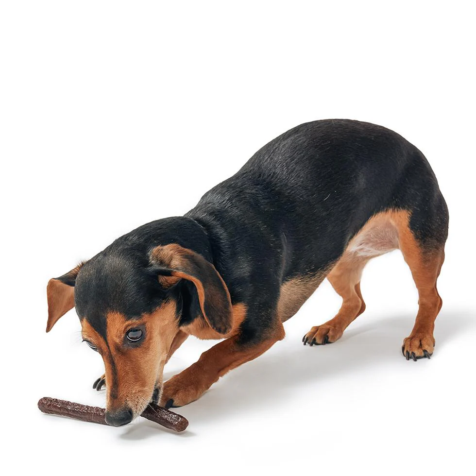 Duck Thinkers Stick Duck Soft & Chewy Dog Treats - Image 4