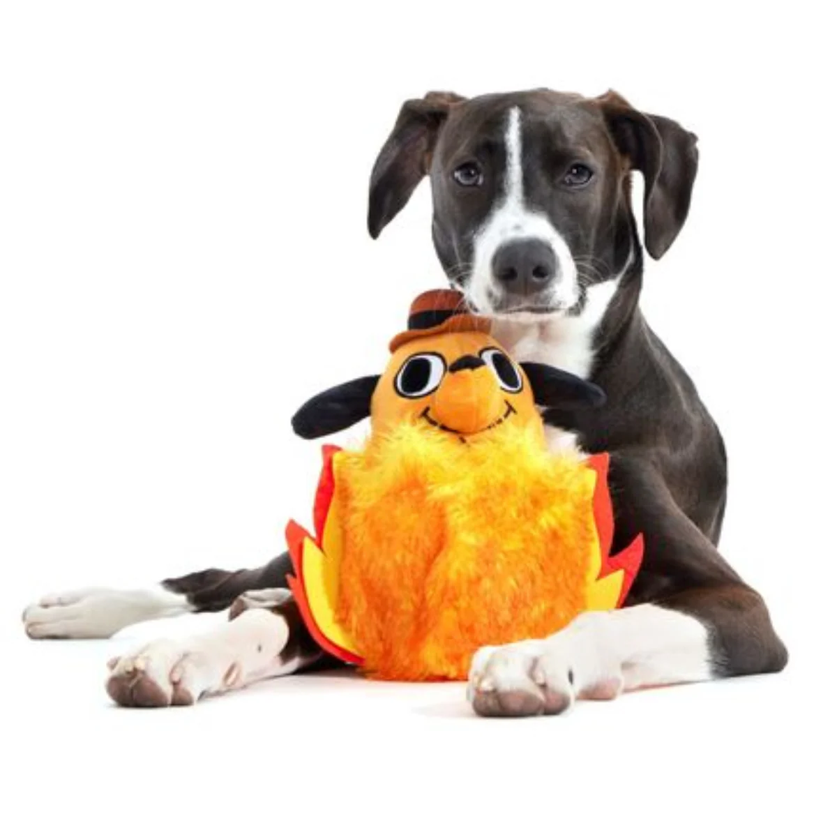 This is Fine Plush Multi-Part + Enrichment Dog Toy - Image 7