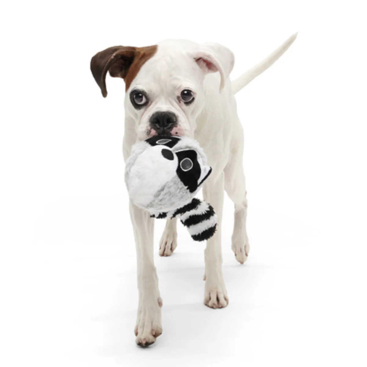 Thrash Panda Durable Super Chewer 2-in-1 Rip and Reveal Dog Toy - Image 6