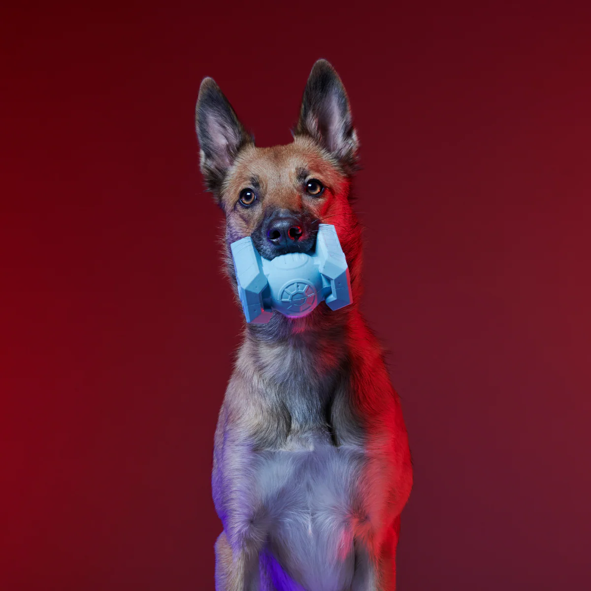 TIE Fighter™ Biter Super Chewer Durable Fetch + Gnaw Dog Toy - Image 2