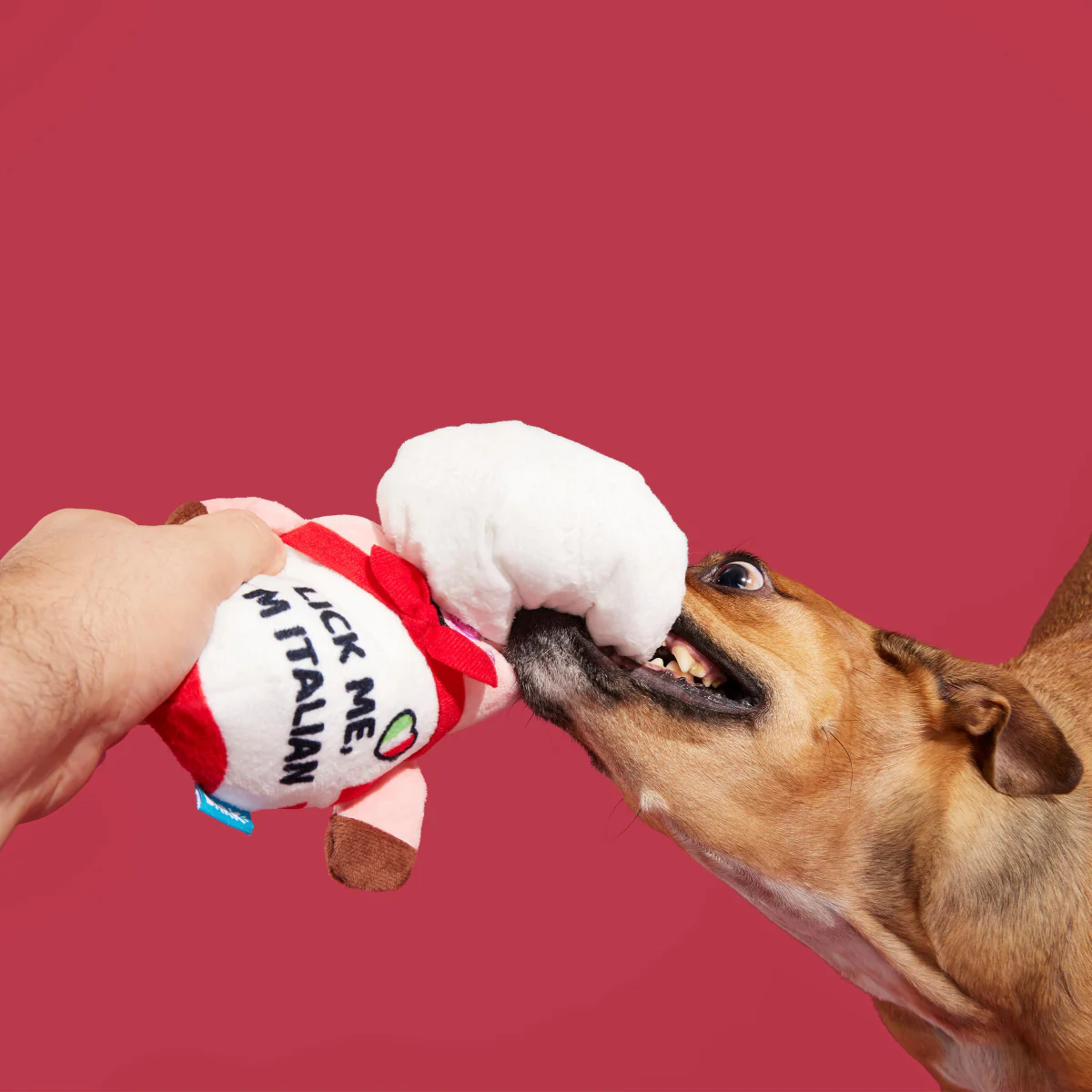 Tony Pupperoni - Image 3