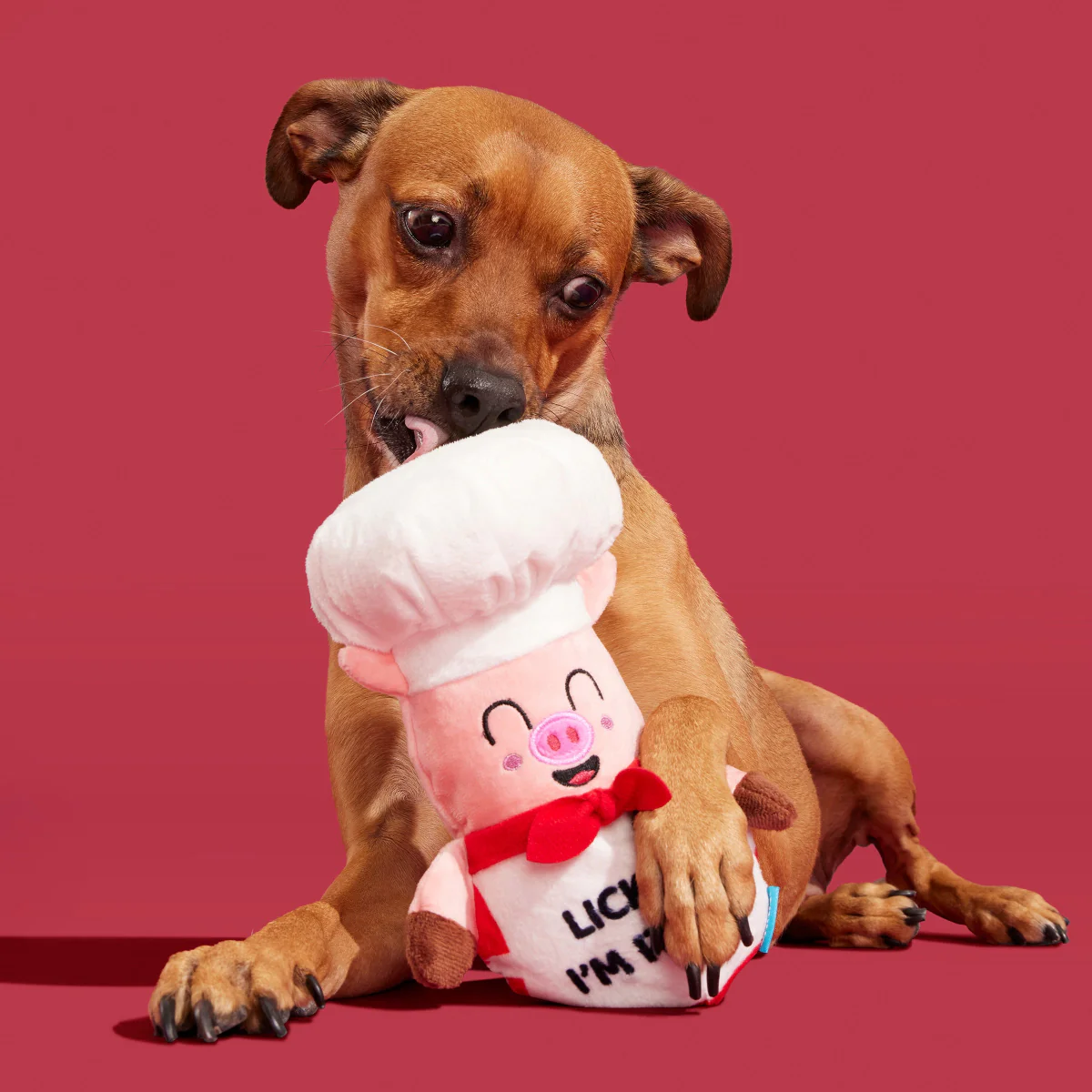 Tony Pupperoni - Image 5