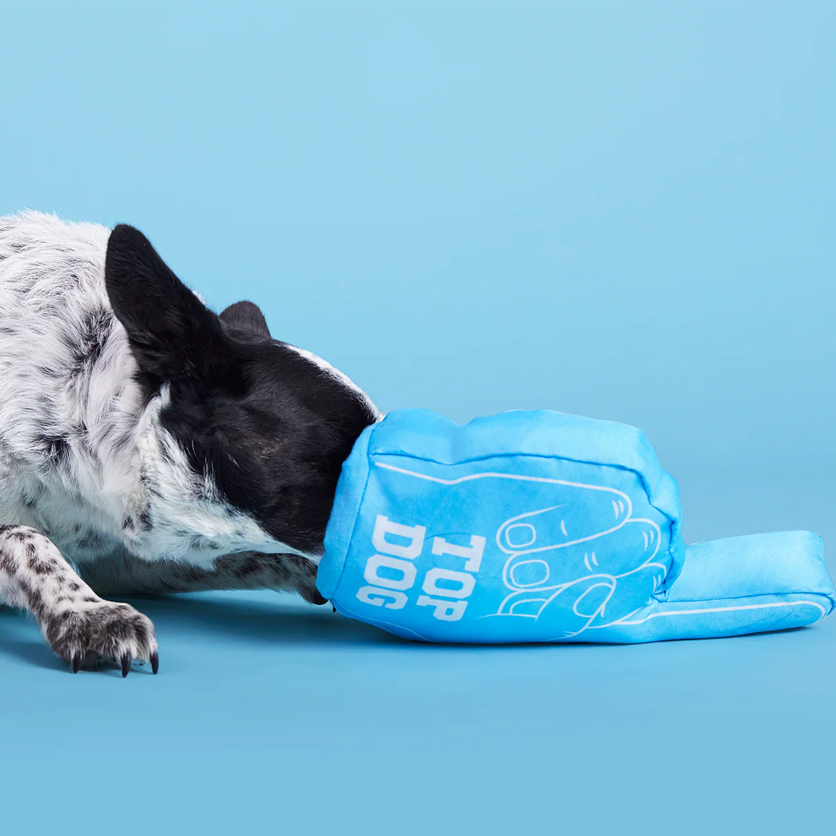 Top Dog Foam Finger Plush Enrichment Dog Toy - Image 4