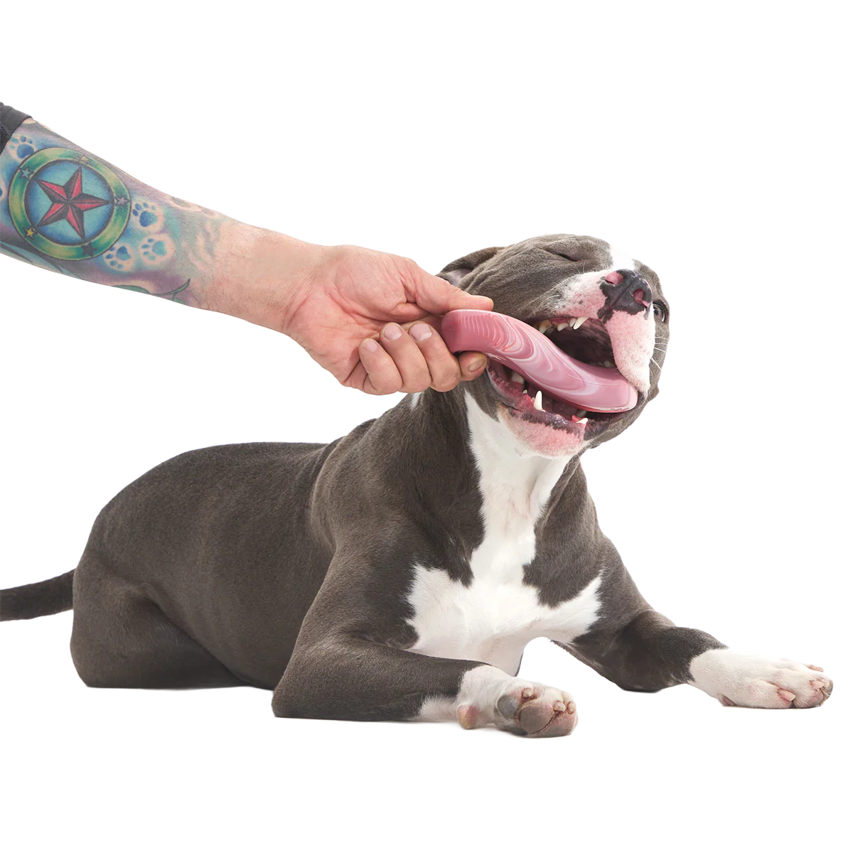 Tough Break Bacon Super Chewer Durable Gnaw Dog Toy - Image 3