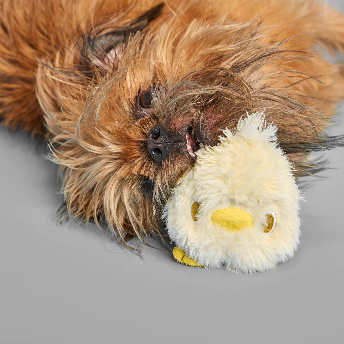 Tough Chick Super Chewer Durable 2-in-1 Dog Toy - Image 6