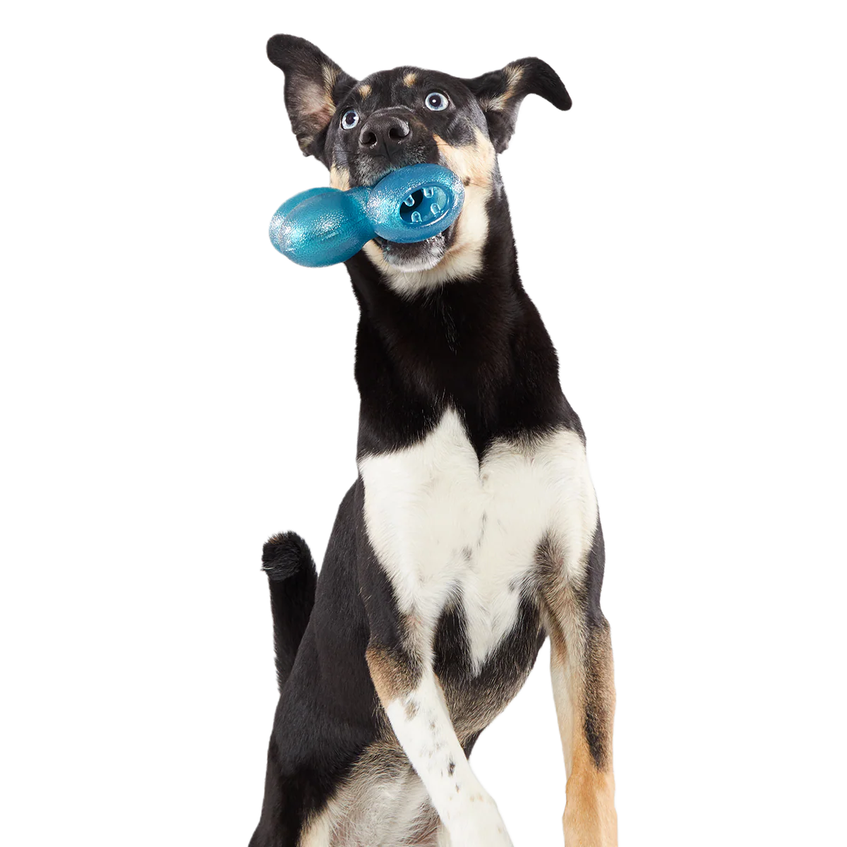 Treat Giver River Super Chewer Durable Enrichment Dog Toy - Image 4