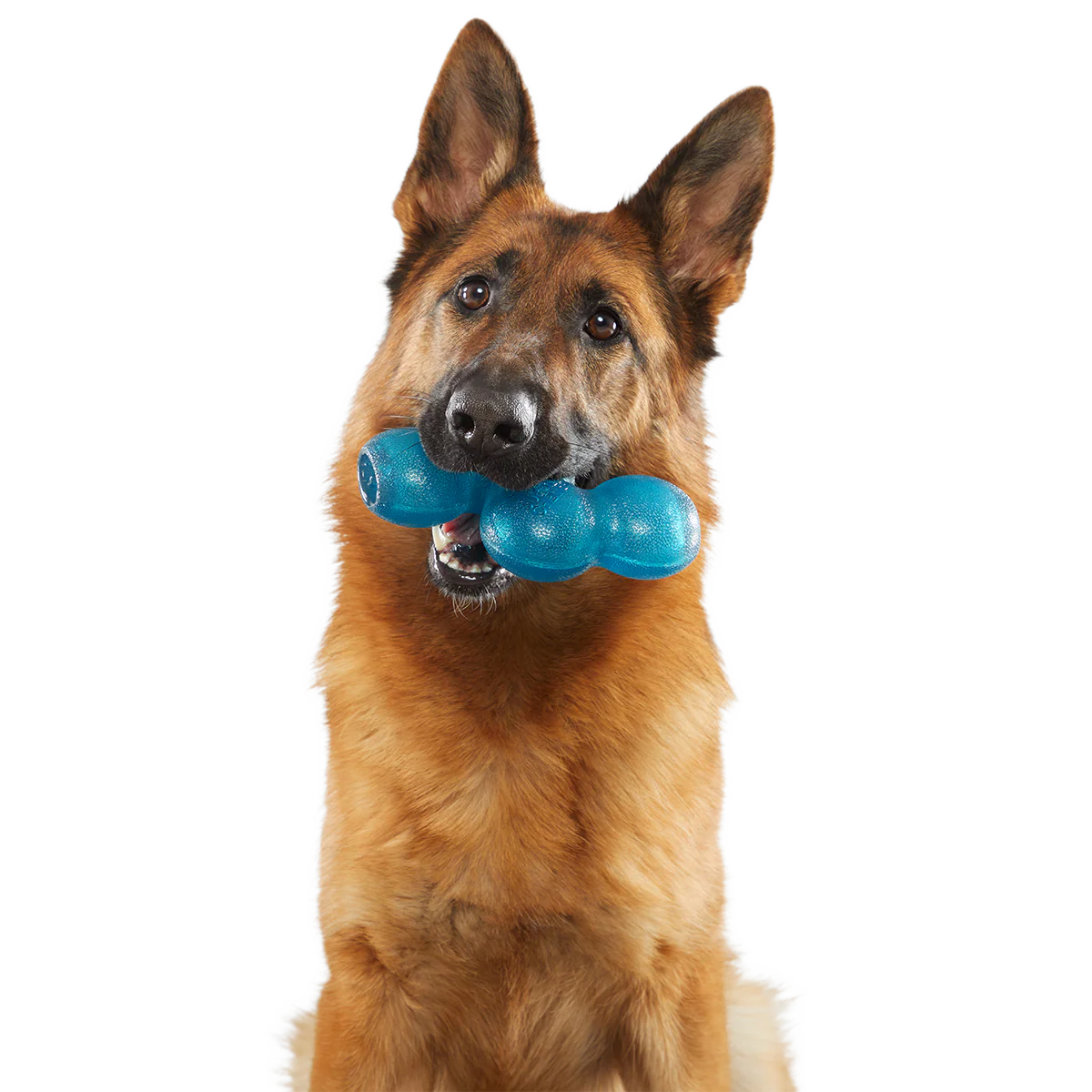 Treat Giver River Super Chewer Durable Enrichment Dog Toy - Image 6