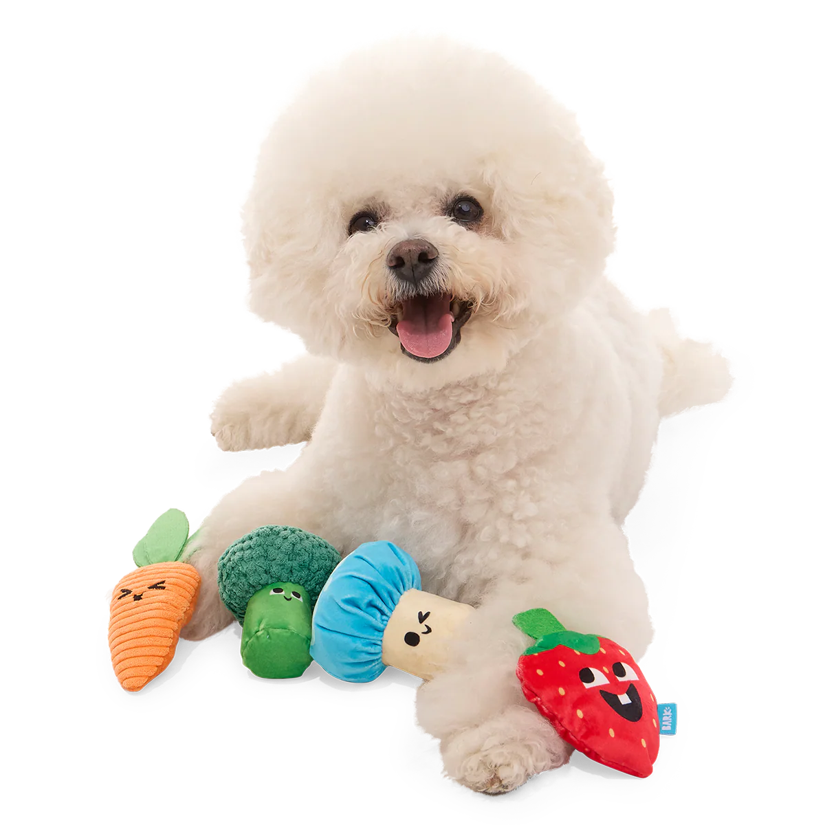 Veggie Patch Pals Plush Multi-Part Dog Toy - Image 3
