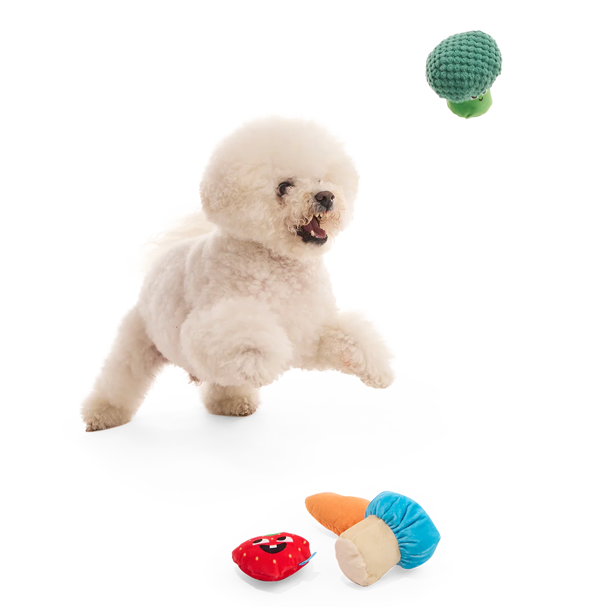 Veggie Patch Pals Plush Multi-Part Dog Toy - Image 4