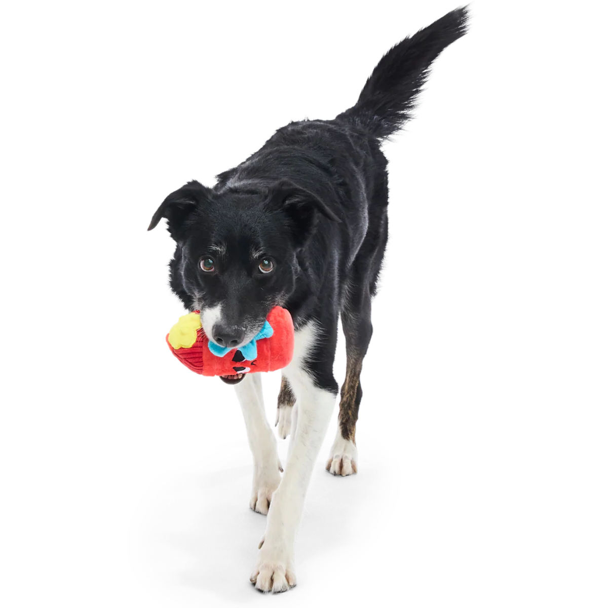 Wetted Willie Super Chewer Durable 2-in-1 Dog Toy - Image 4