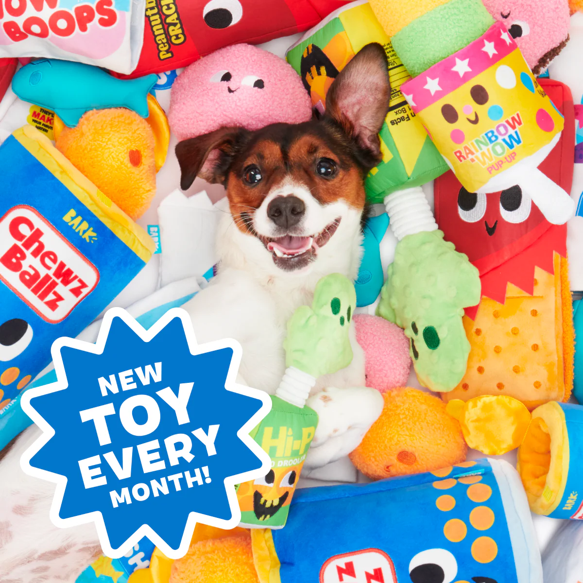 Junk Food Club, Plush Monthly Dog Toys - Image 5
