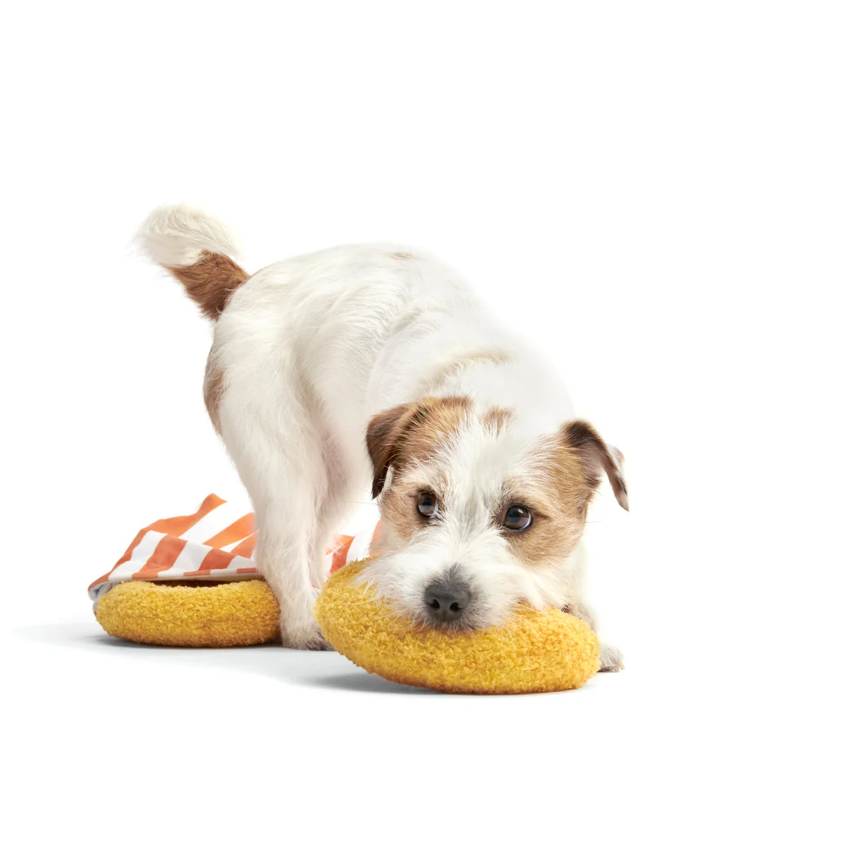 Yapple Cider Domutts Plush Extra-Large + Enrichment + Multi-Part Dog Toy - Image 6