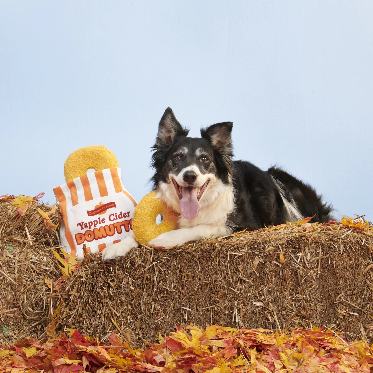 Yapple Cider Domutts Plush Extra-Large + Enrichment + Multi-Part Dog Toy - Image 8
