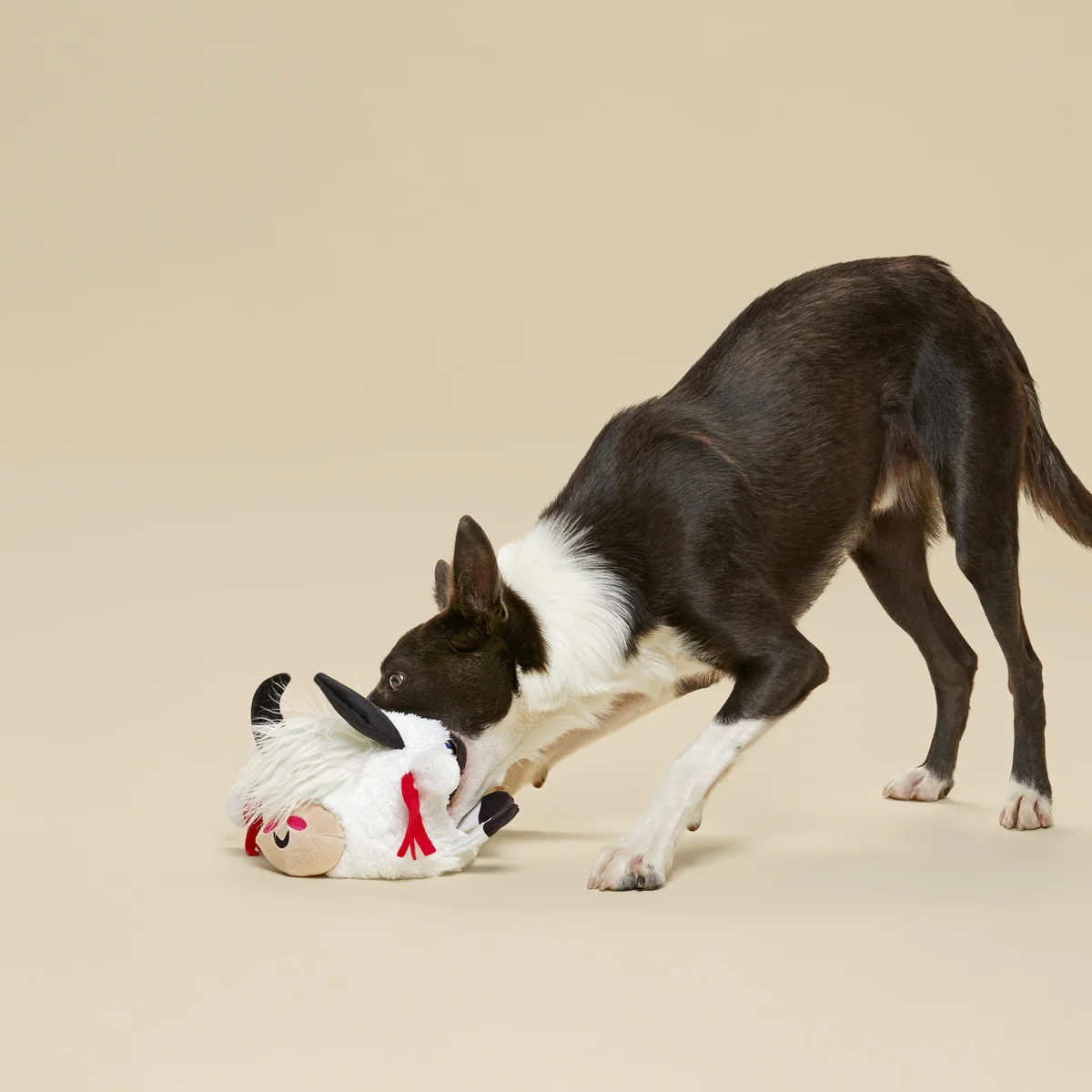 Yeshe the Yak Plush Extra-Large Dog Toy - Image 3